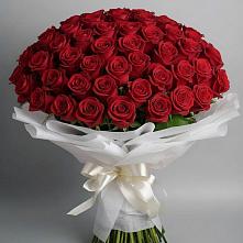 Букет 101 Красная роза Блэк Мэджик в Звенигово