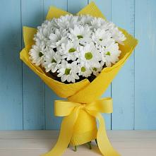 Букет цветов из:  Хризантемы #REPLACE_PRED# Звенигово