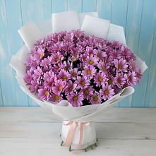 Букет цветов из:  Хризантемы в Звенигово