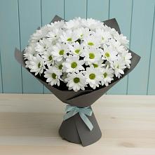 Букет цветов из:  Хризантемы #REPLACE_PRED# Звенигово