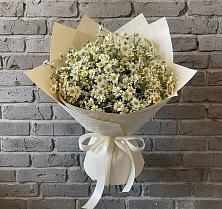 Букет цветов из:  Ромашки #REPLACE_PRED# Звенигово