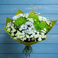 Букет цветов из:  Хризантемы #REPLACE_PRED# Звенигово