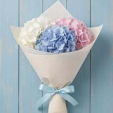 Букет цветов из:  Гортензия в Звенигово