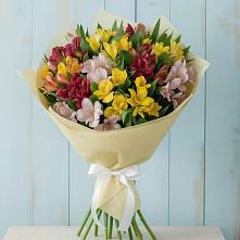 Букет цветов из:  Альстромерии в Звенигово