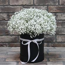 Цветочная композиция из Гипсофила в шляпной коробке в Звенигово