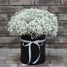 Цветочная композиция из Гипсофила в шляпной коробке в Звенигово