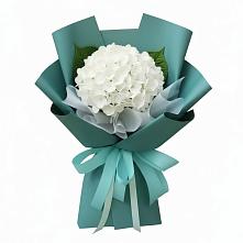 Букет цветов из:  Гортензия в Звенигово